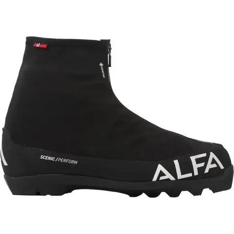 Alfa Scenic Perform GTX