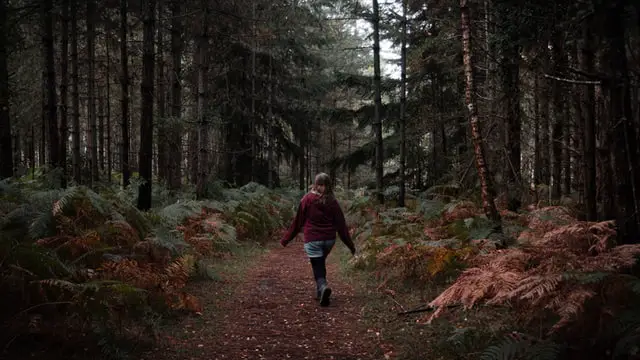 Flicka med röd jacka vandrar längst skåneleden